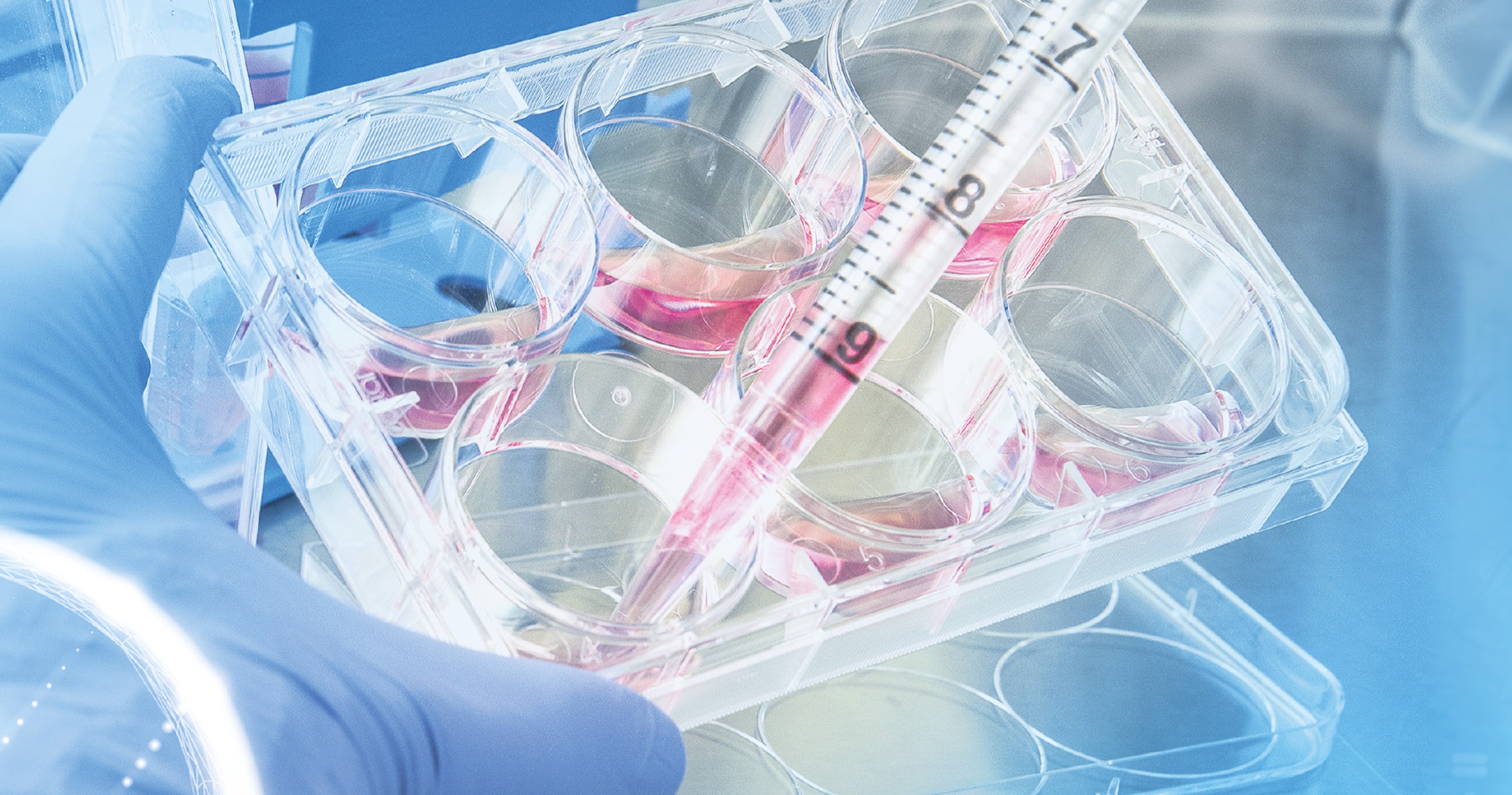 What’s Next for International Clinical Trials? Our CEO and Agile CRO Have the Answers